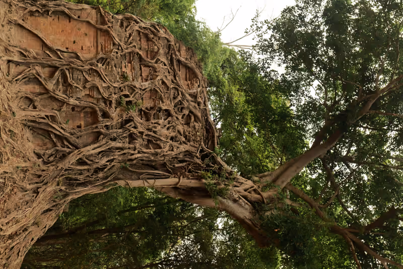 Sambor Prei Kuk Heritage & Farm Experience